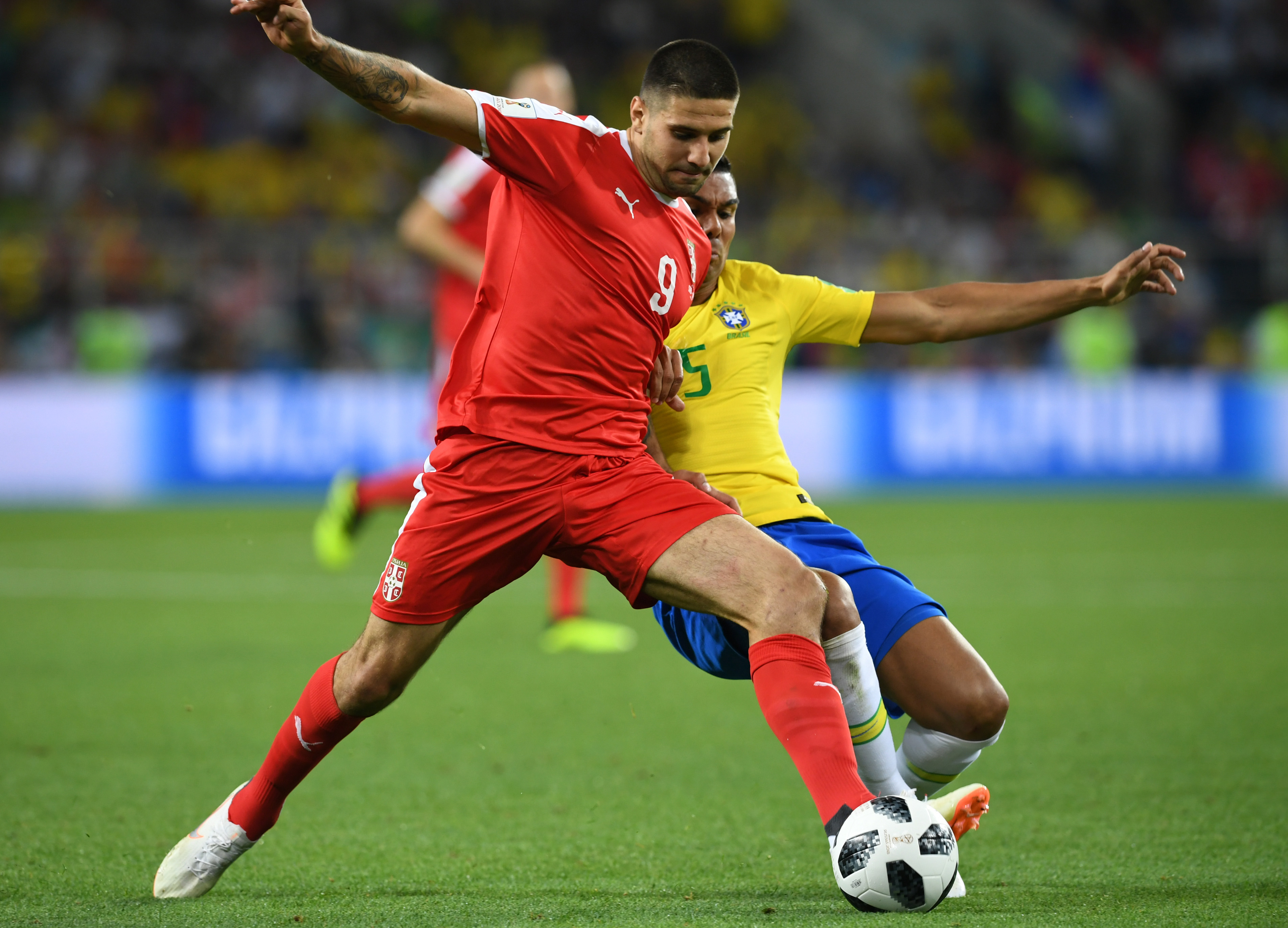 关于大坂直美官方宣布锐不可当新规，塞尔维亚队引发争议！的信息开云app下载链接